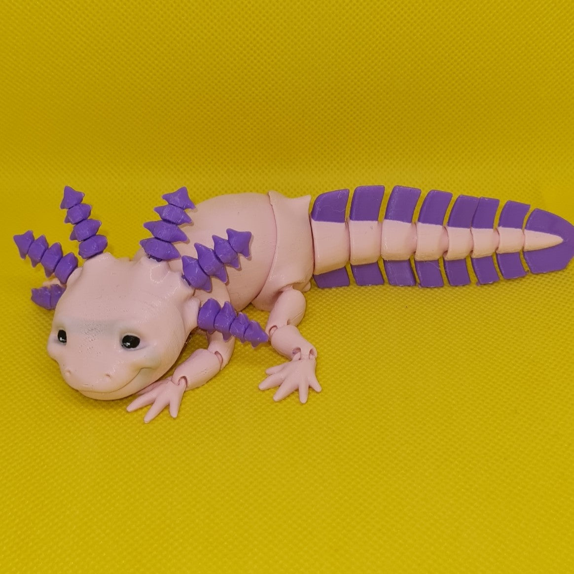 Axolotl