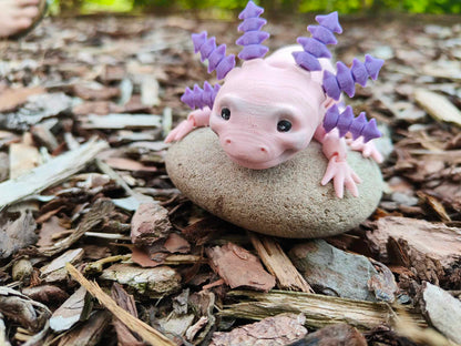 Axolotl