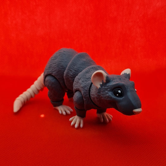 Rat